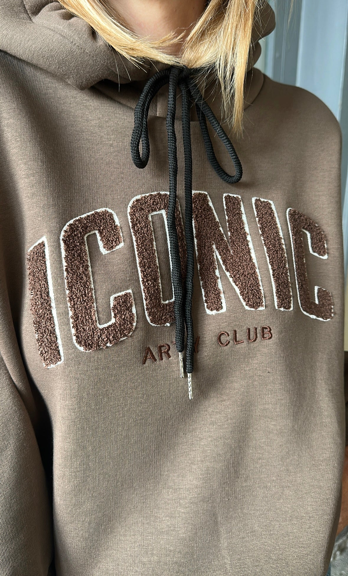 Sweat capuche ICONIC Taupe/Chocolat