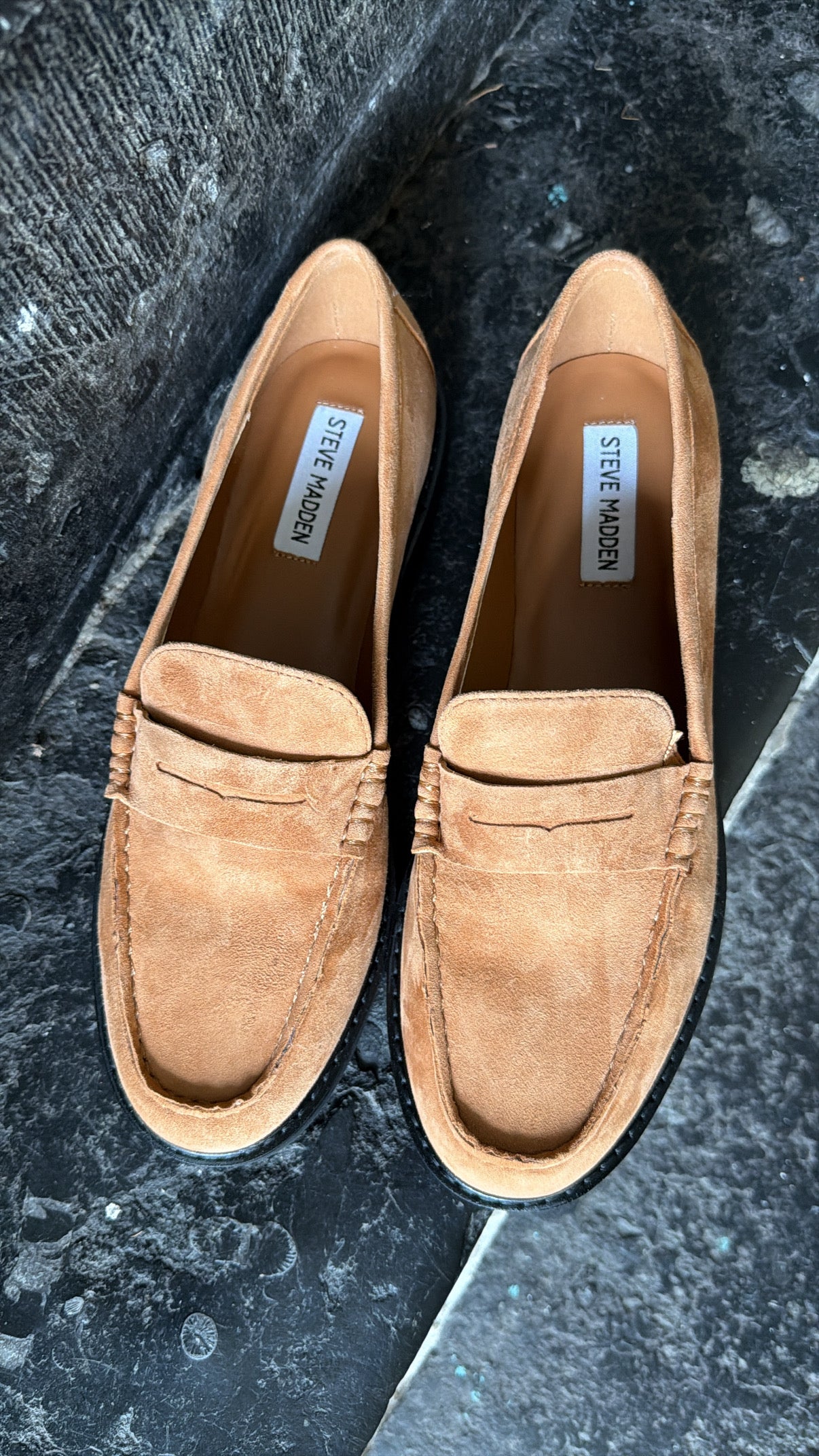 Mocassin ADISON Camel Suède STEVE MADDEN
