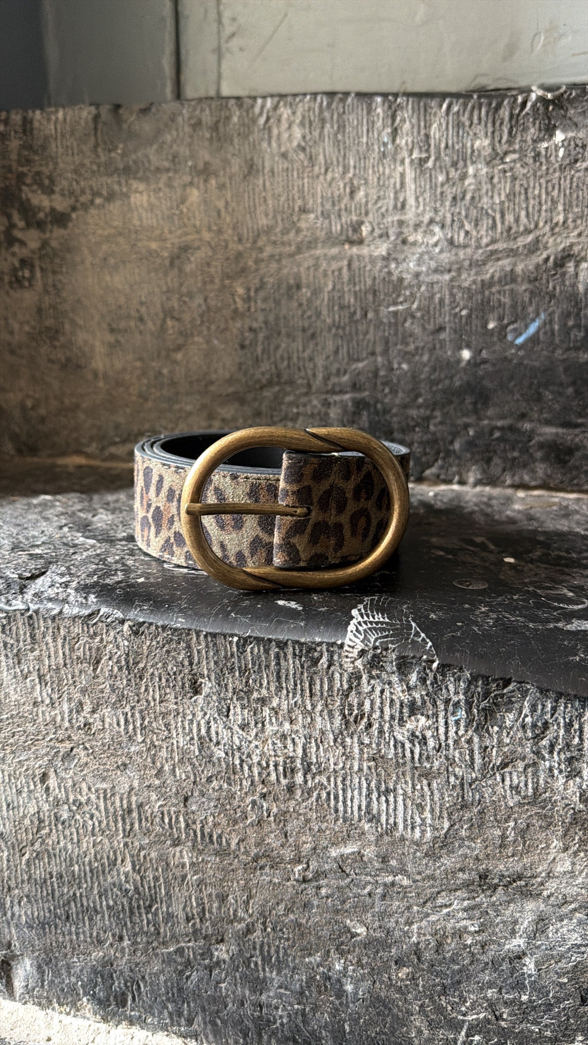 Ceinture LAURA Kaki/Léopard PIECES