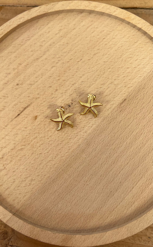 Petite BO Étoile de mer