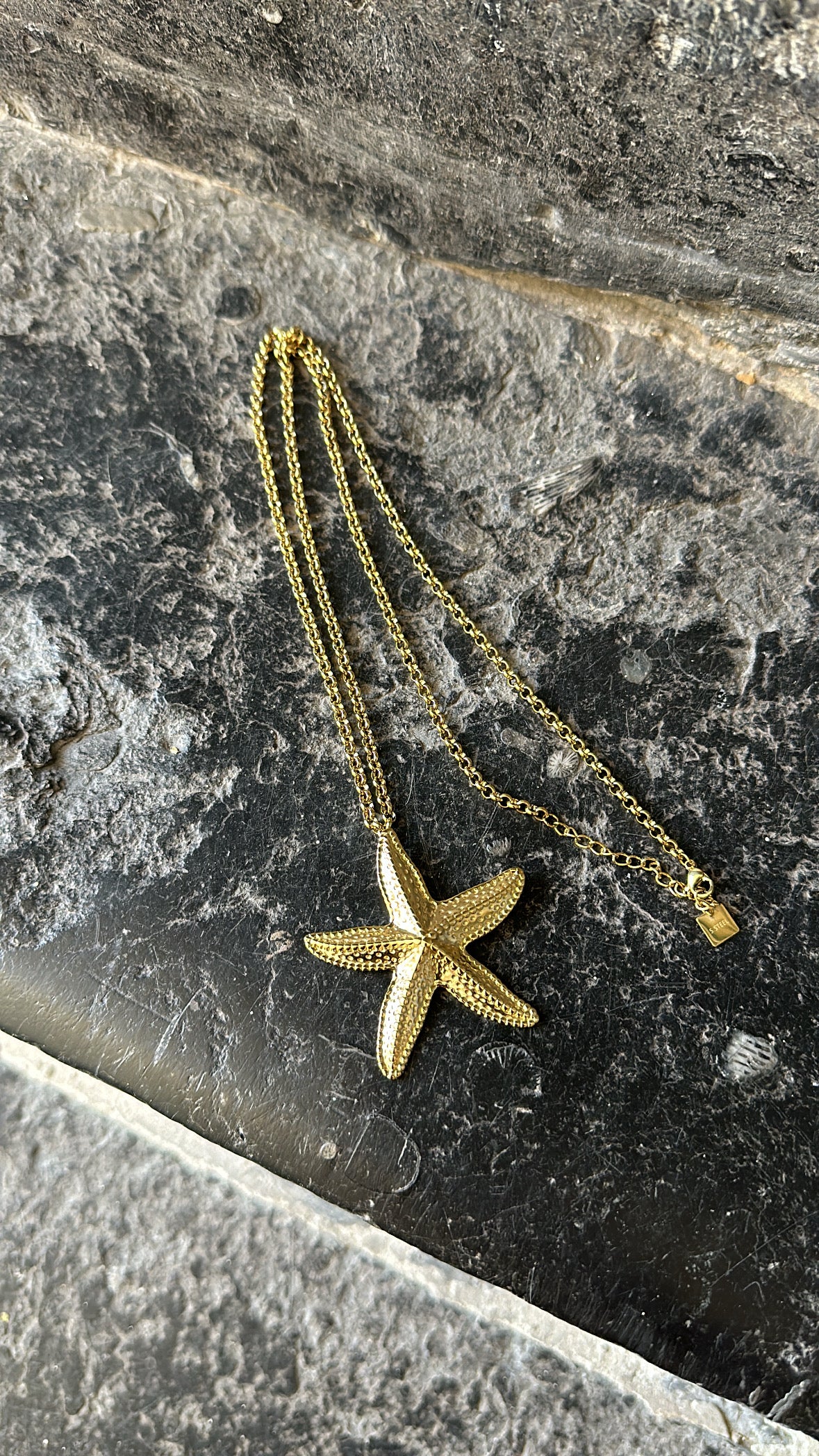 Sautoir Étoile de mer