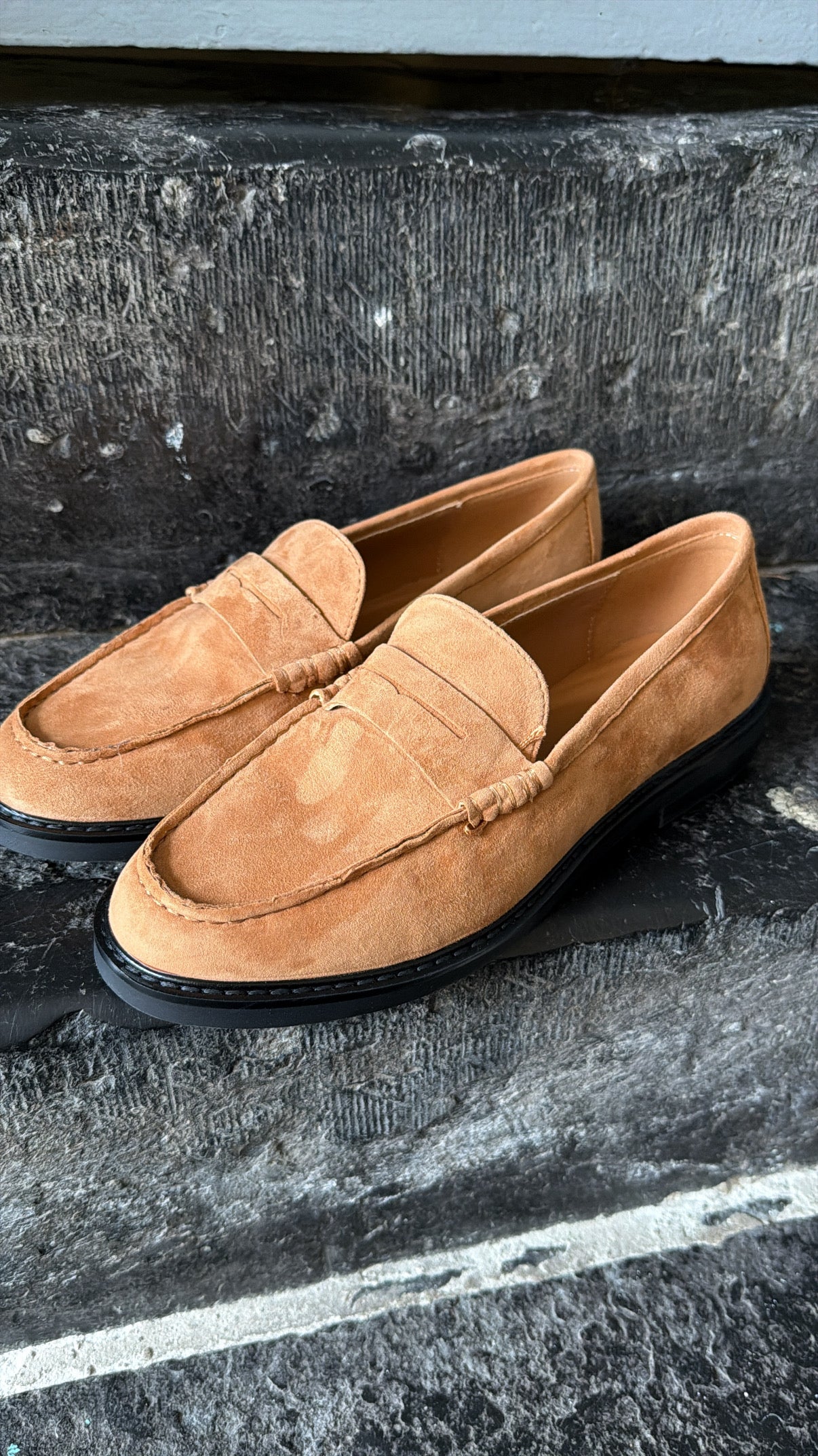 Mocassin ADISON Camel Suède STEVE MADDEN