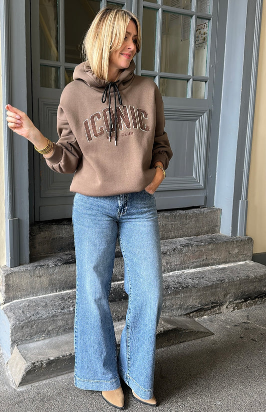 Sweat capuche ICONIC Taupe/Chocolat