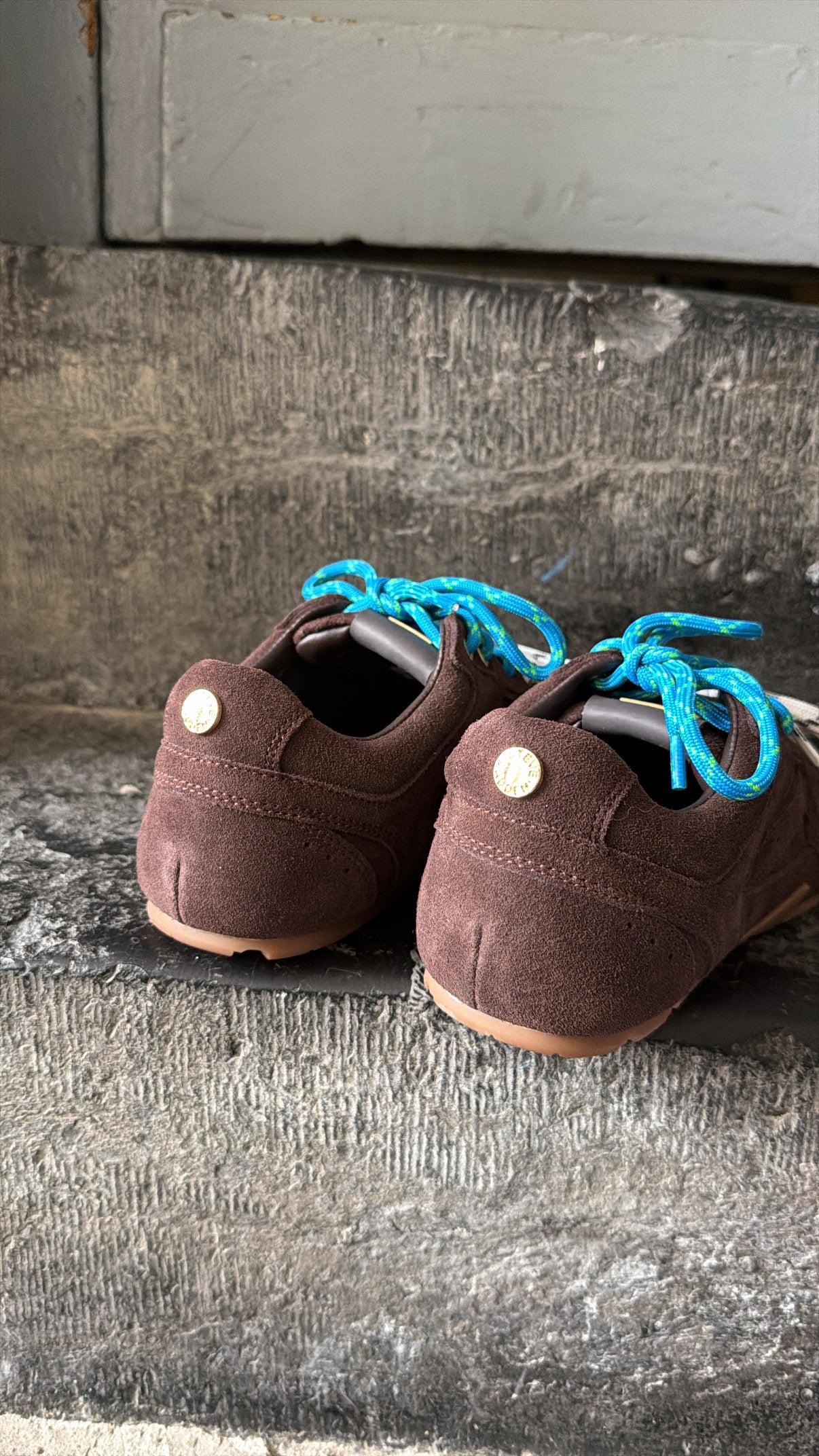 Basket ASIEL Chocolat Suède STEVE MADDEN