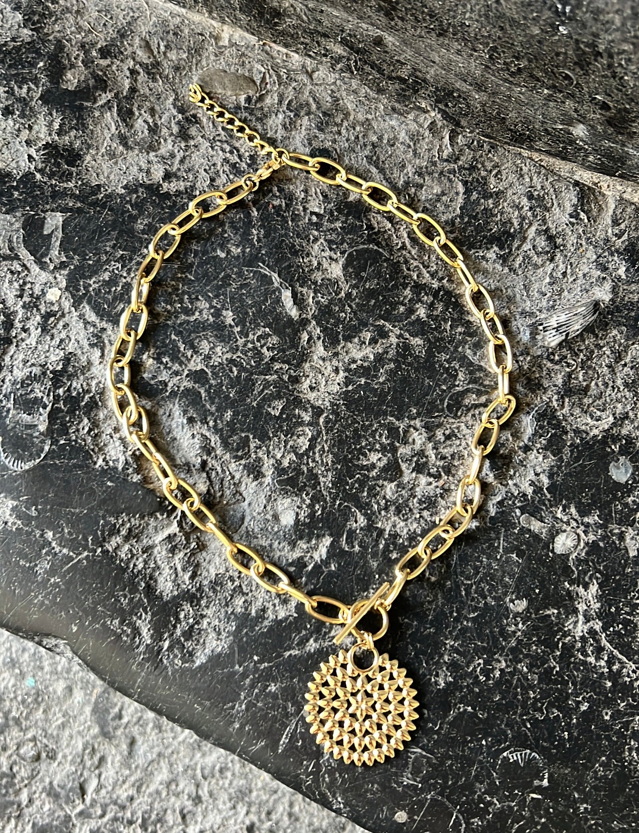 Collier PIA