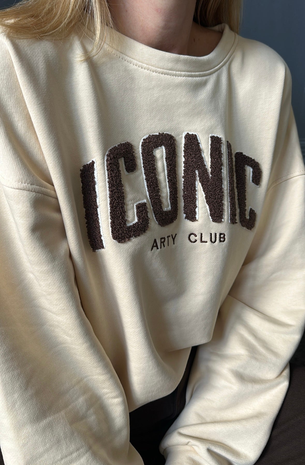 Sweat ICONIC Beige/chocolat