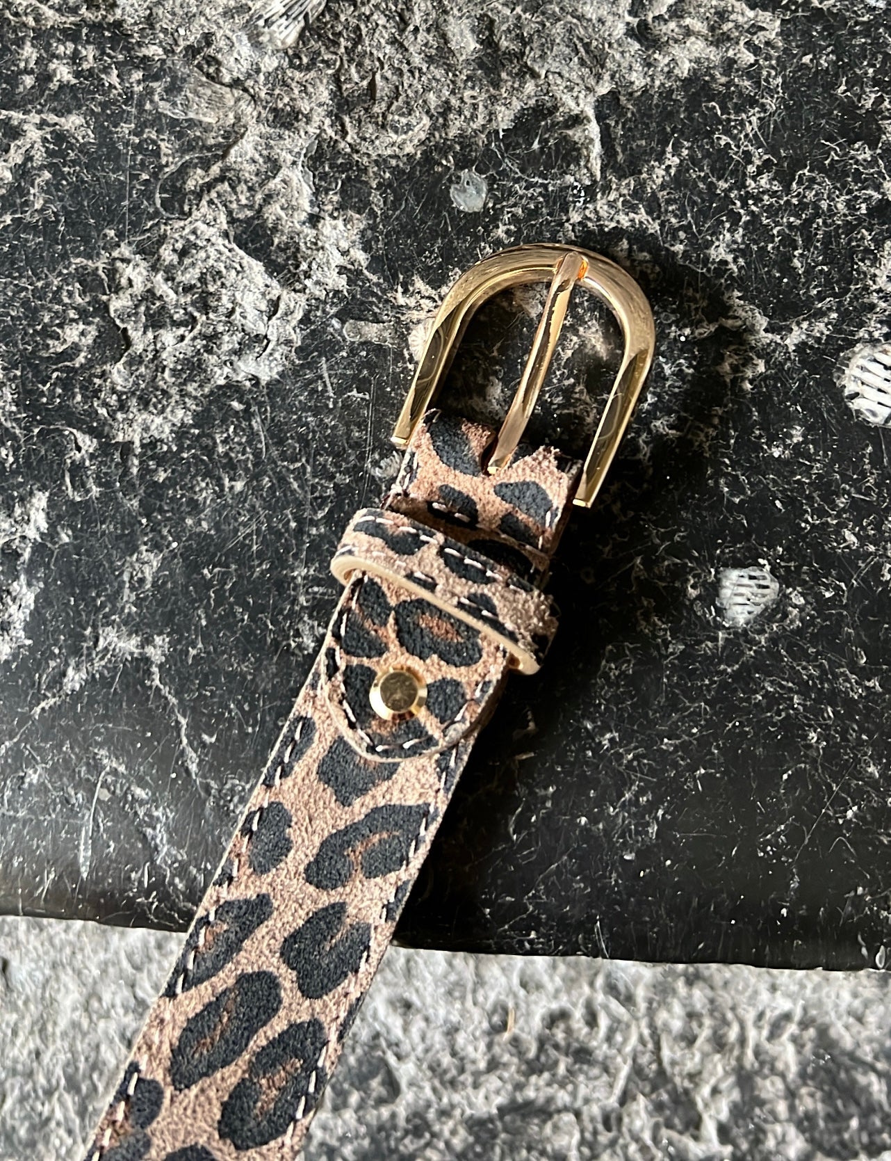 Ceinture DANA Léopard