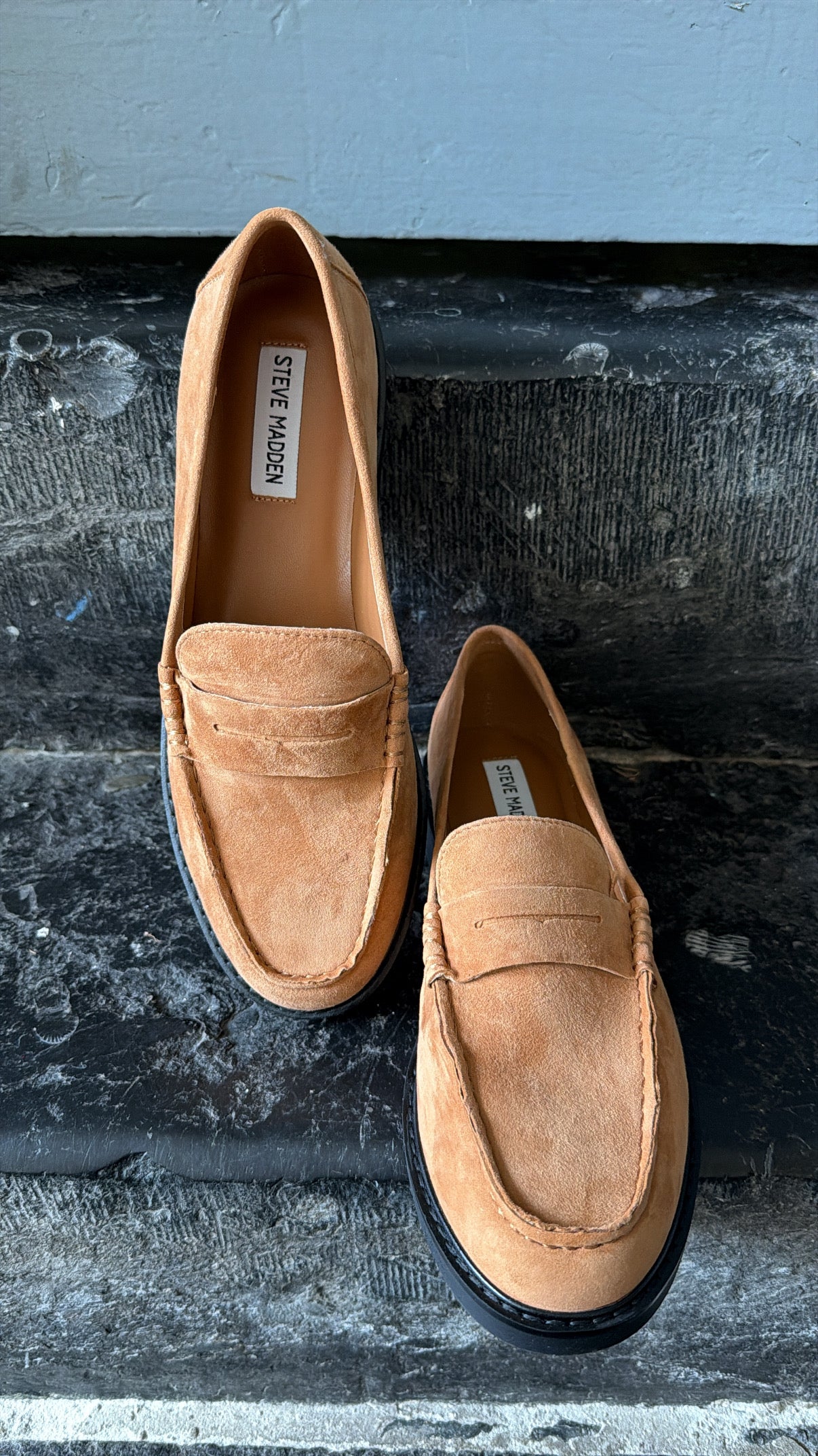 Mocassin ADISON Camel Suède STEVE MADDEN