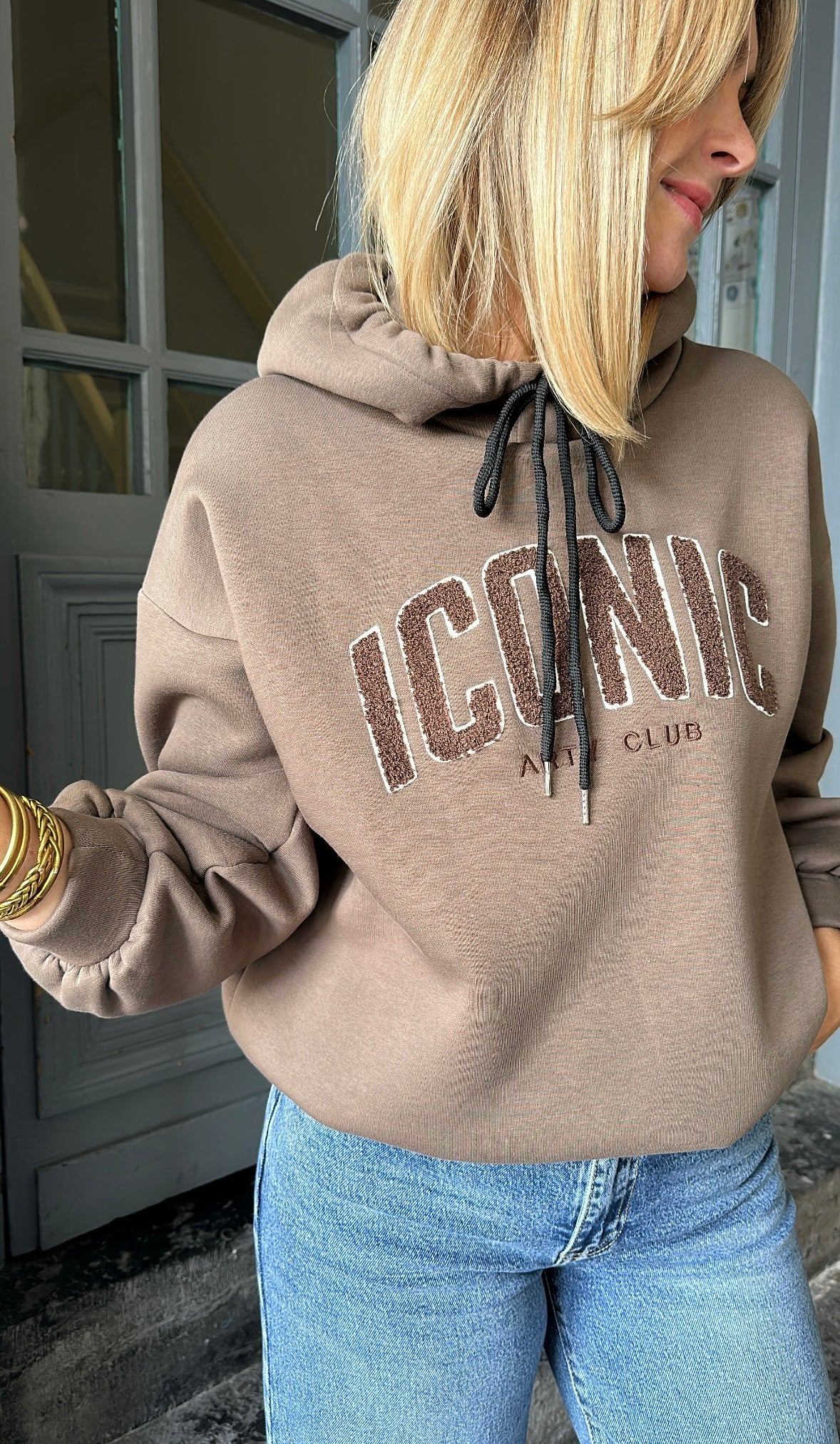 Sweat capuche ICONIC Taupe/Chocolat