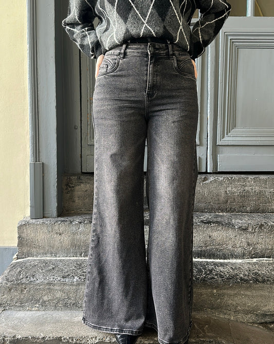 Jean Extra Wide AYDEN Gris