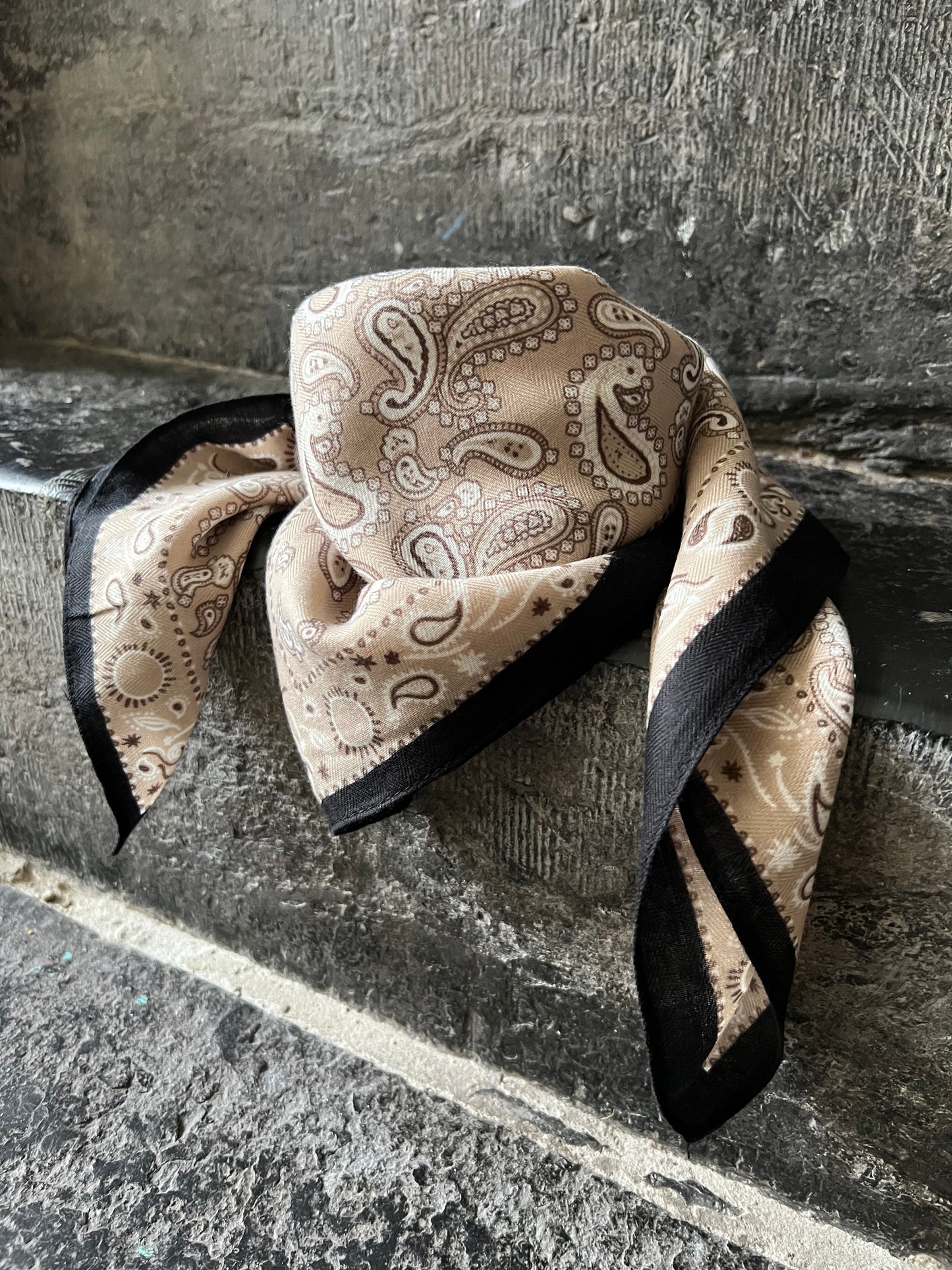 Foulard IPHIGÉNIE Beige/Noir